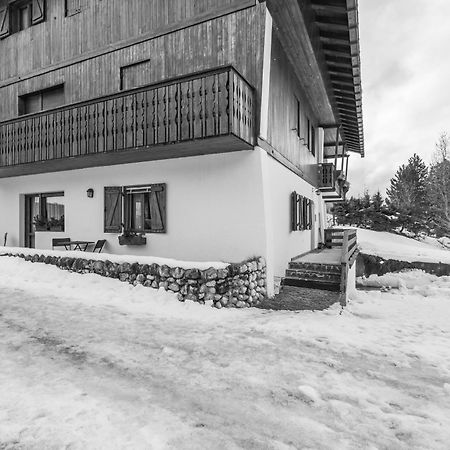 Ca' Dello Scoiattolo Apartman Cortina dʼAmpezzo Kültér fotó
